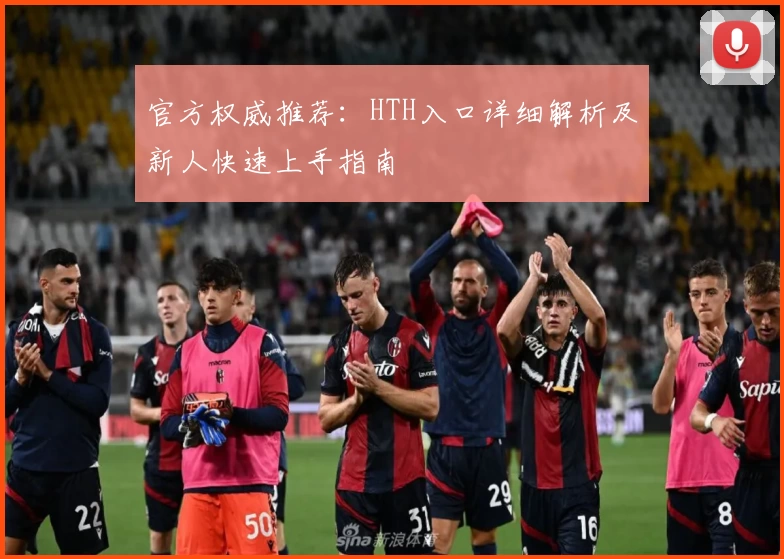 官方权威推荐:HTH入口详细解析及新人快速上手指南